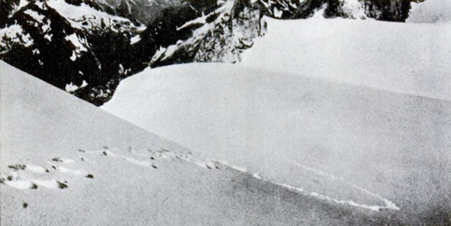 Alleged yeti footprints photographed by Frank Smythe in the Himalaya, 1937
